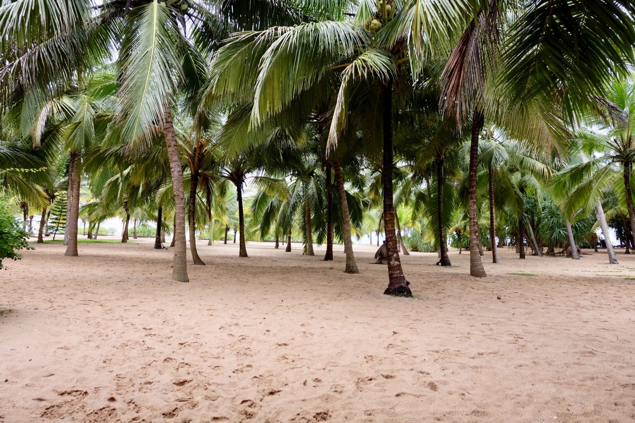 Mangrove Beach Cabanas and Chalets Tangalle