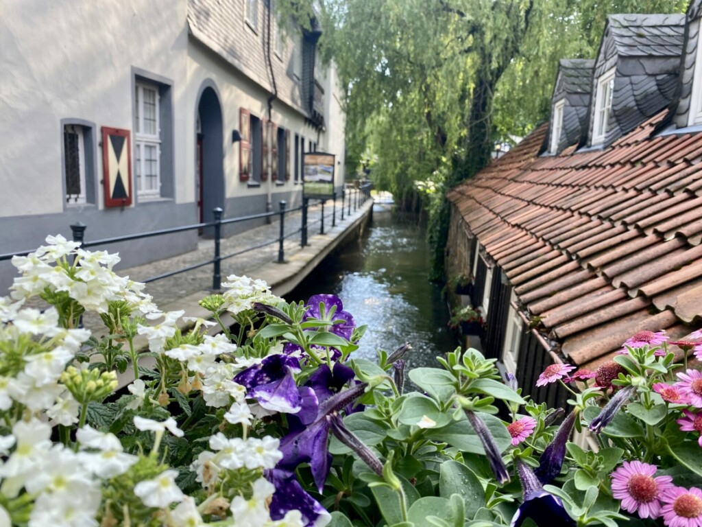 Abzucht Goslar Harz