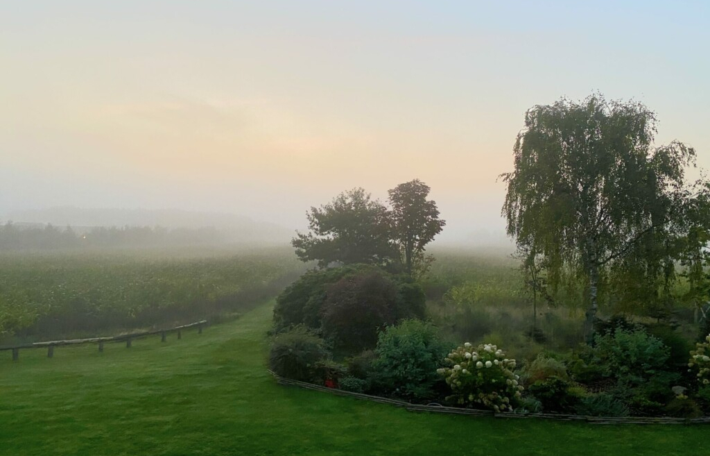 Lustrup Farmhouse Ribe