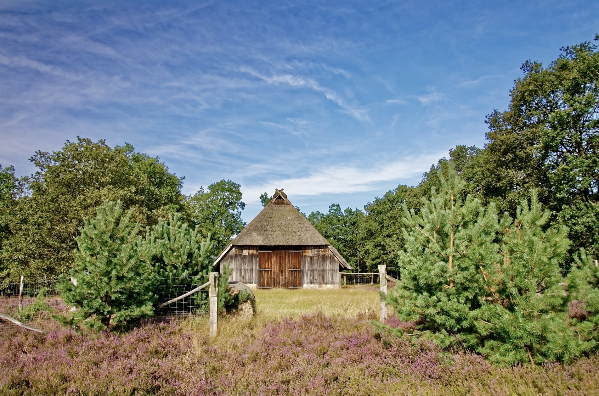 Schafstell Lüneburger Heide