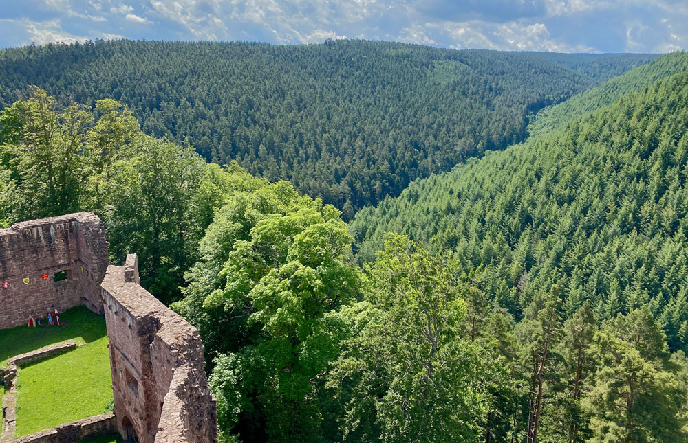 Wangenburg-Ruine-Bergfried-Aussicht